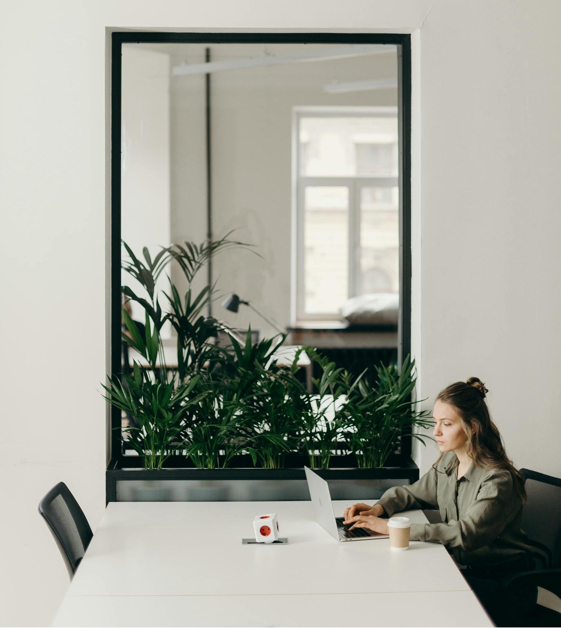 Auth Background Image